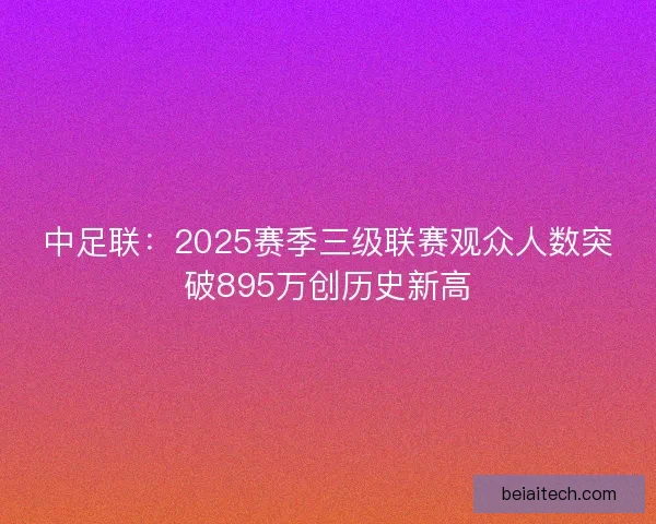 中足联：2025赛季三级联赛观众人数突破895万创历史新高